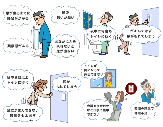 男性に関しては尿が出るまでに時間がかかる、尿の勢いが弱い、残尿感がある、おなかに力を入れないと尿が出ない、夜中に何度もトイレに行く、我慢出来ずに尿が漏れてしまうなど、女性に関しては日中8回以上トイレに行く、尿が漏れてしまう、急に我慢できない尿意を催すなど、男女共通の症状としてトイレが気になって外出できない、会議や打ち合わせなど仕事に集中できない、夜間の頻尿で睡眠不足など、このような症状がある場合は当院へご相談下さい